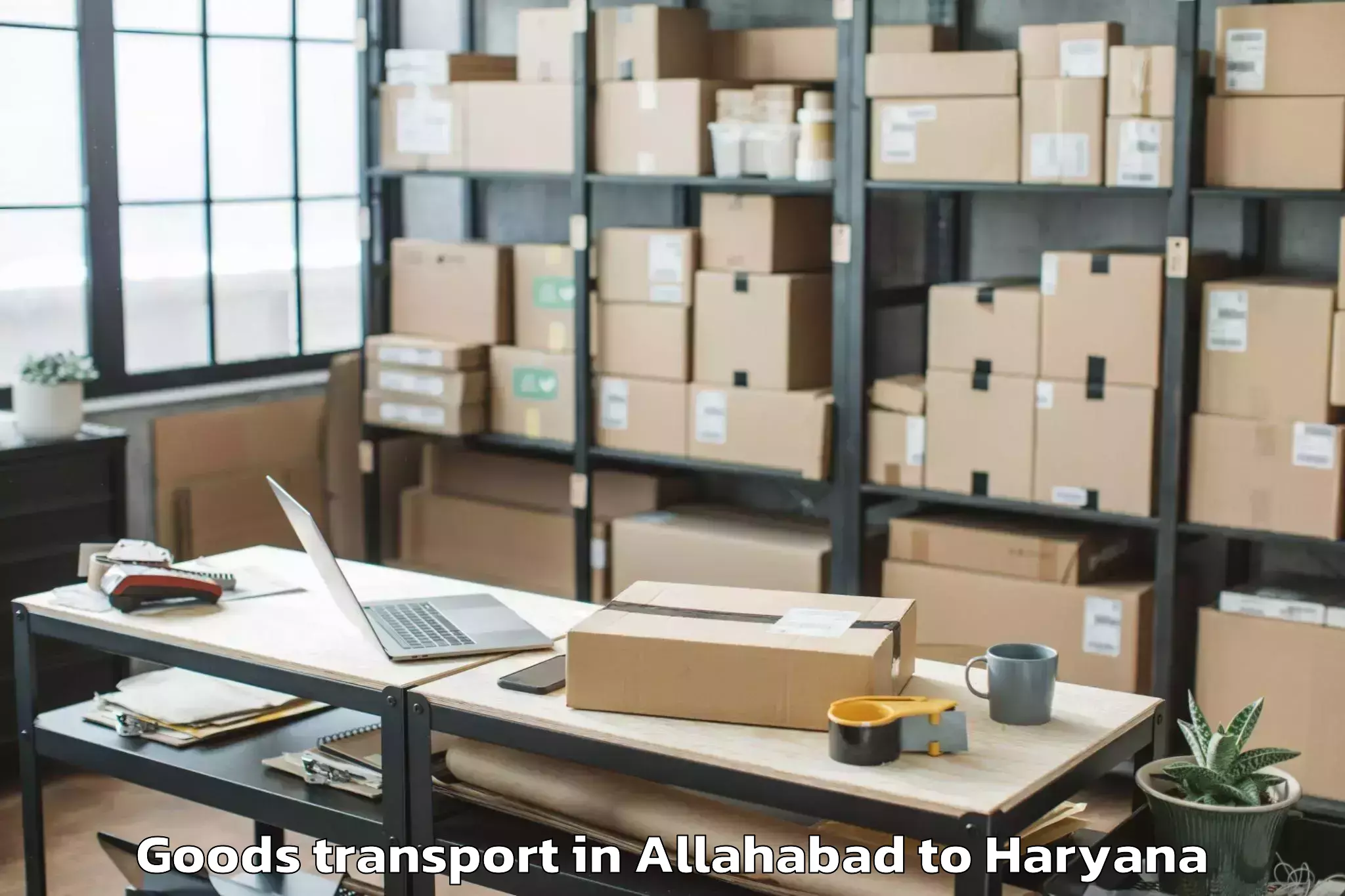 Professional Allahabad to Lingayas University Faridabad Goods Transport